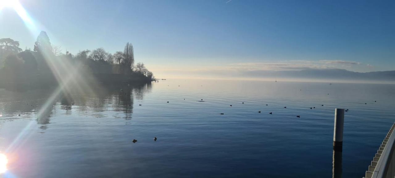 L'Orthogo Apartman Thonon-les-Bains Kültér fotó
